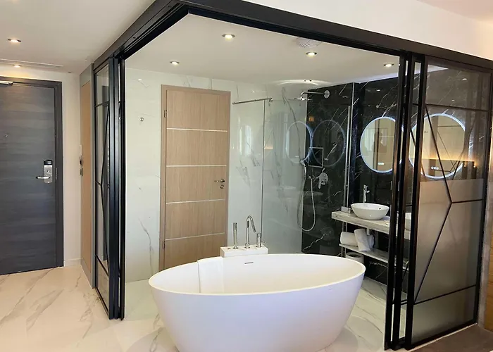 호텔 Brit Paris Orly Rungis 4*